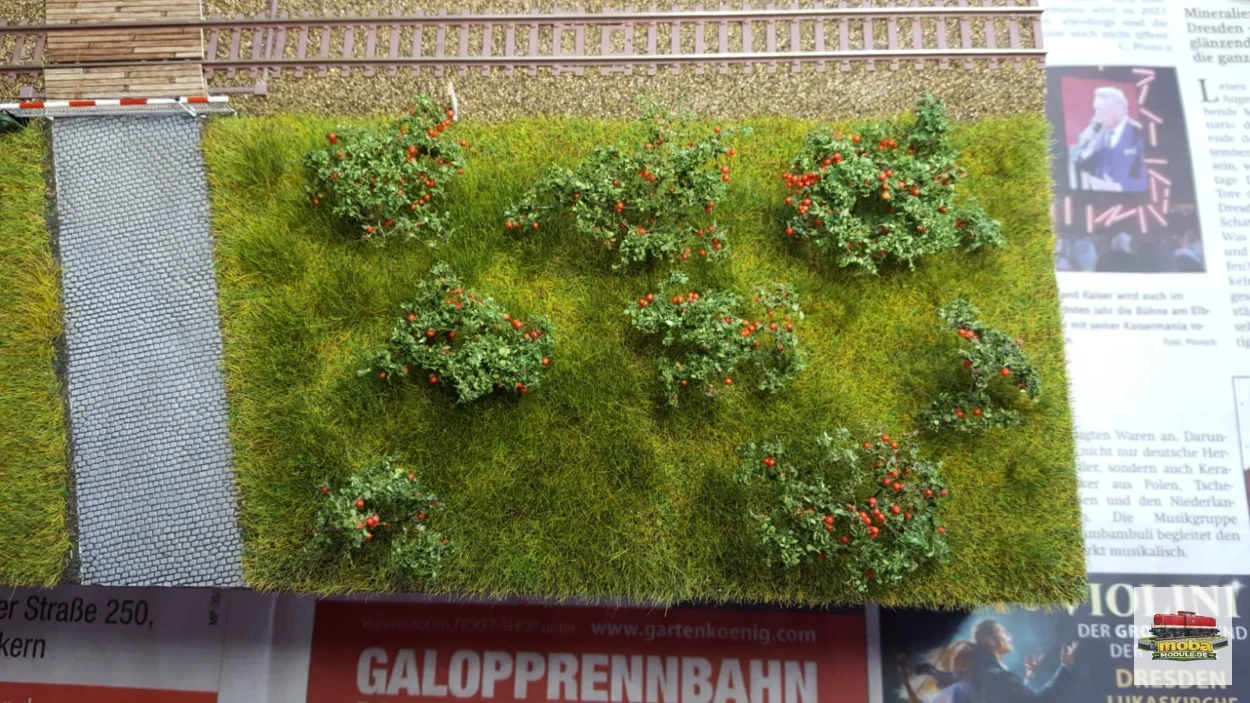 Modelleisenbahn – IMG 20221012 WA0002